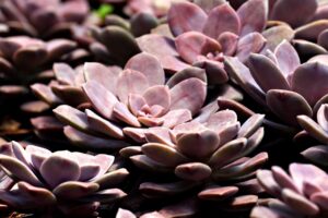 ベッドの処分方法にはどんな選択肢があるの？