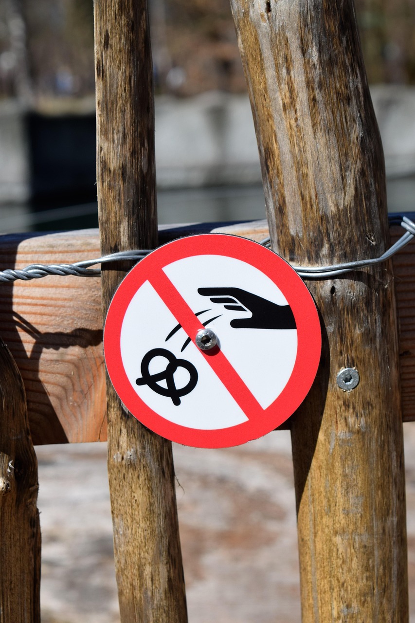 口コミで選ばれている粗大ゴミ回収業者の信頼性は？